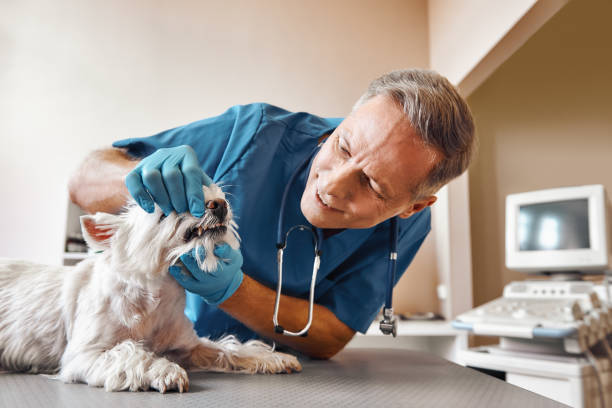 Best After-Hours Dental Care in Tuckerton, NJ